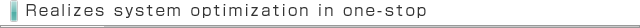 Realizes system optimization in one-stop