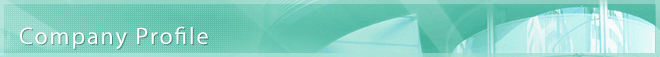 Company Profile