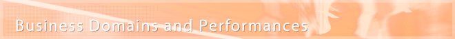 Business Domains and Performances
