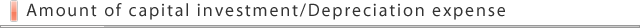 Amount of capital investment/Depreciation expense